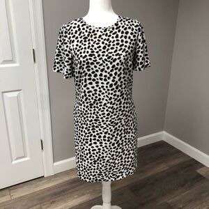 Ann Taylor Black and White and Brown Flutter Sleeve Sheath Dress